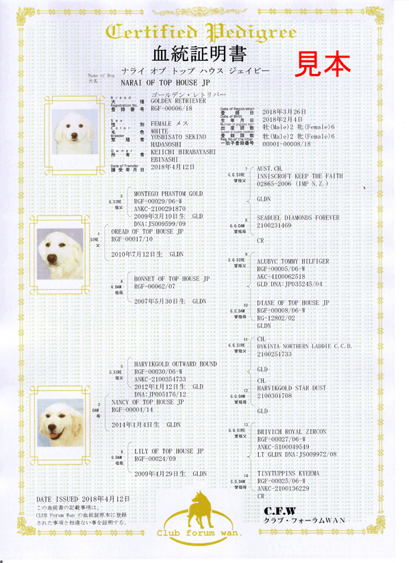 CFW 血統証明書