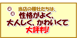 おムコさんにどうぞ!!