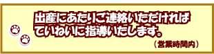 おムコさんにどうぞ!!